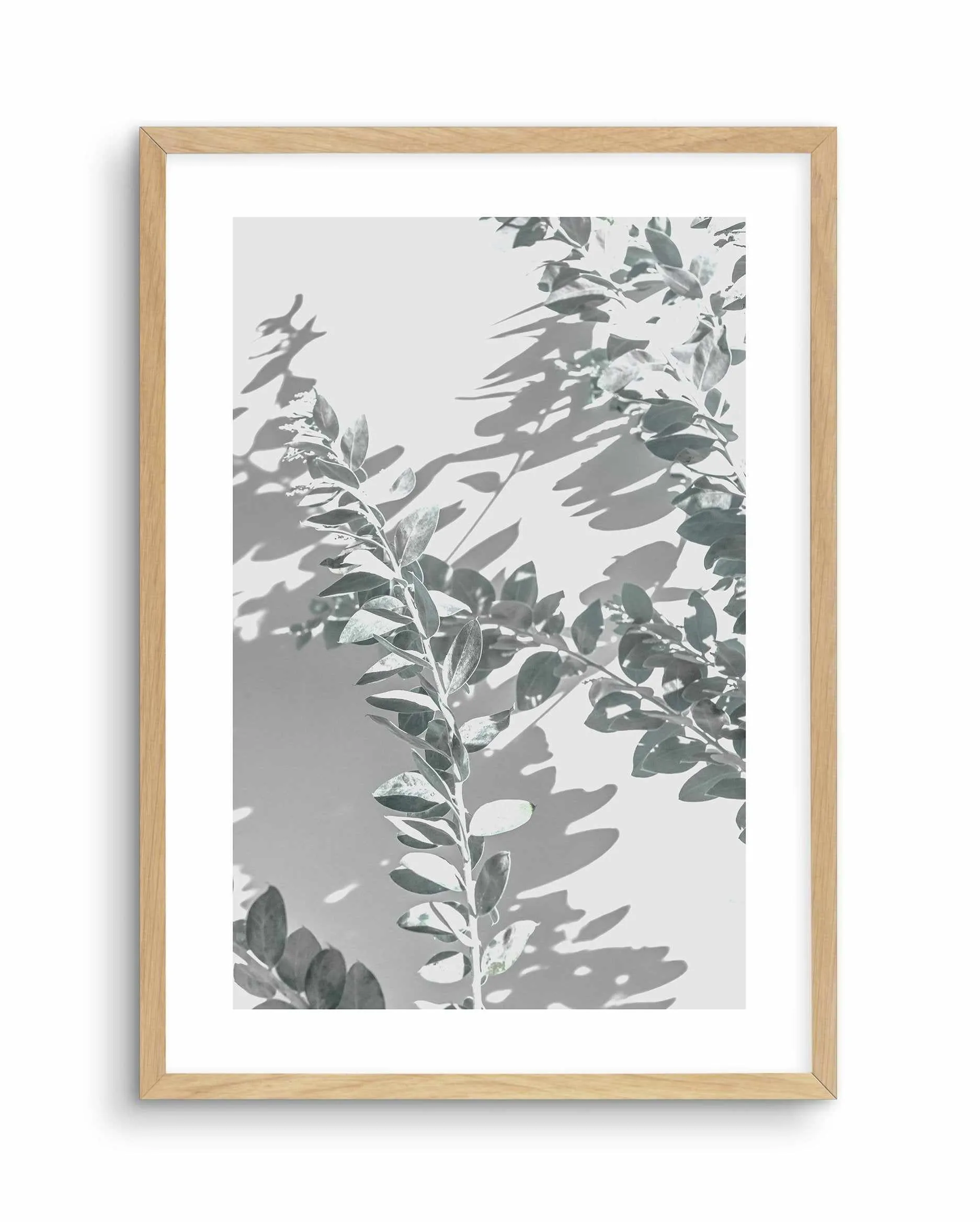 Abstract Leaves II Art Print