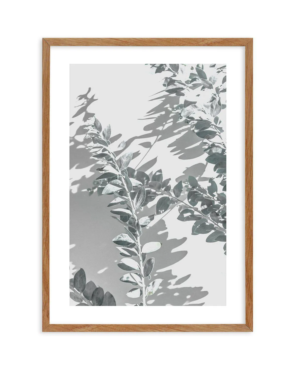 Abstract Leaves II Art Print