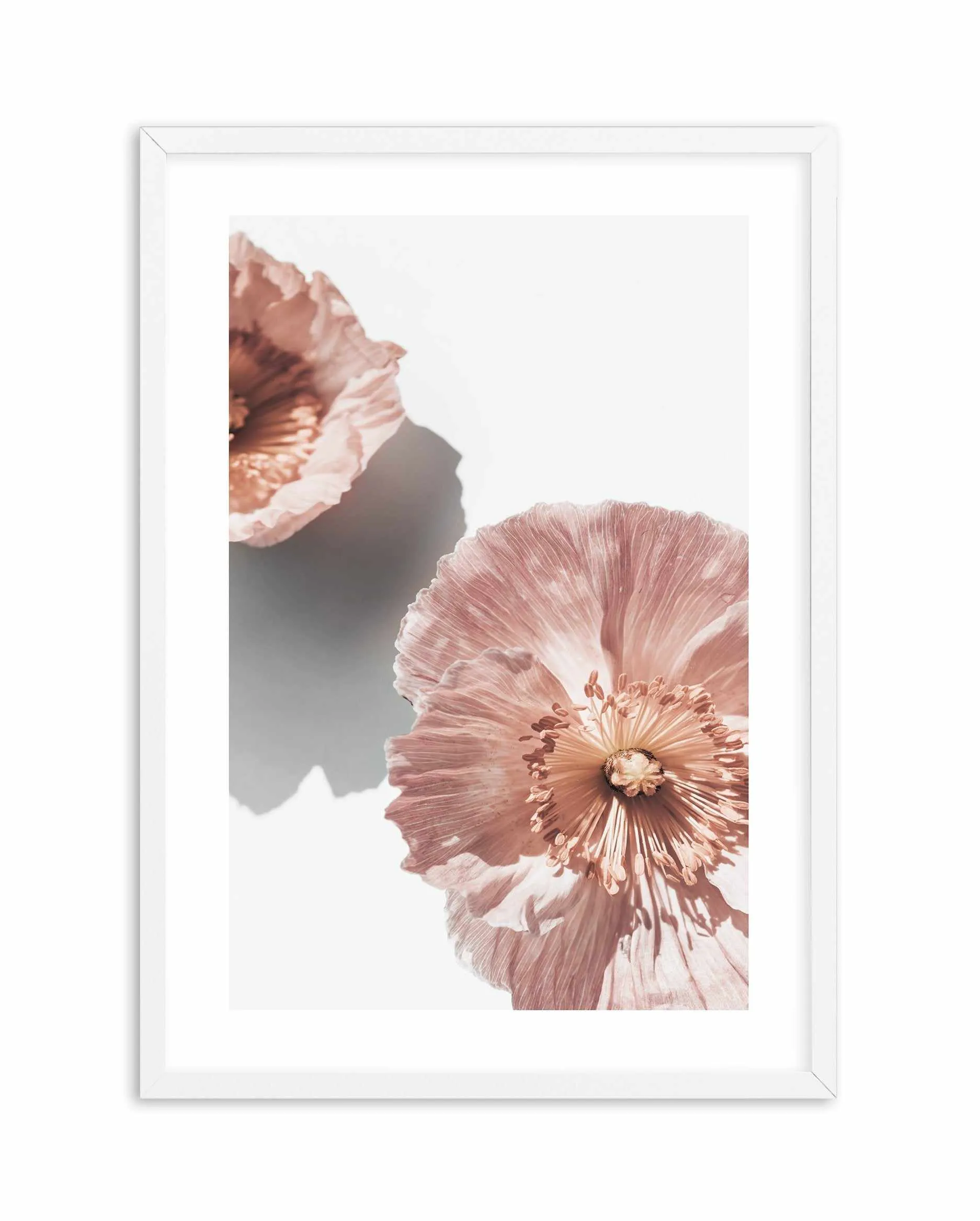 Abstract Poppies II Art Print