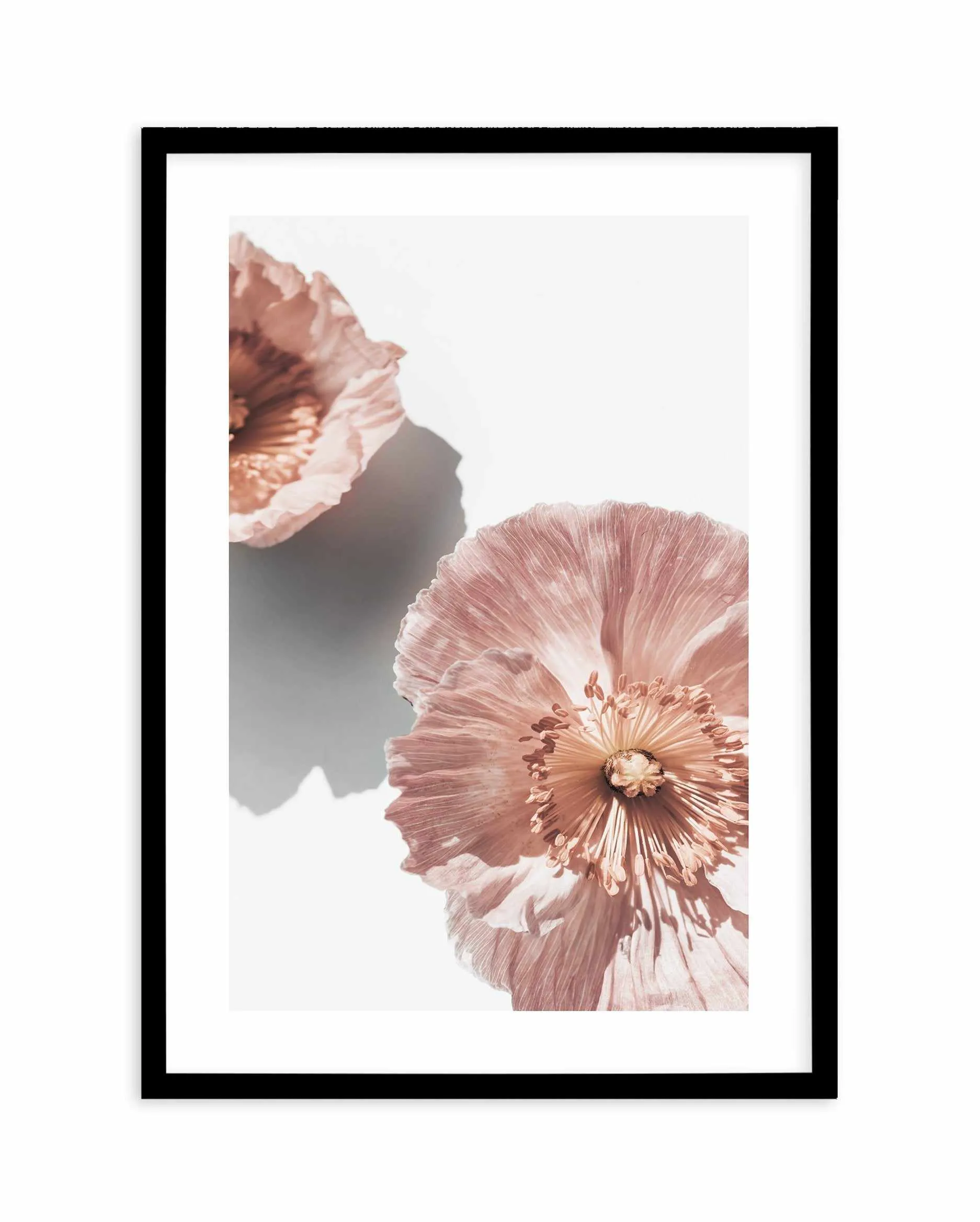 Abstract Poppies II Art Print