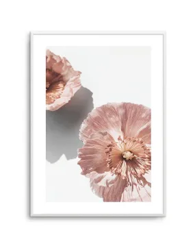 Abstract Poppies II Art Print