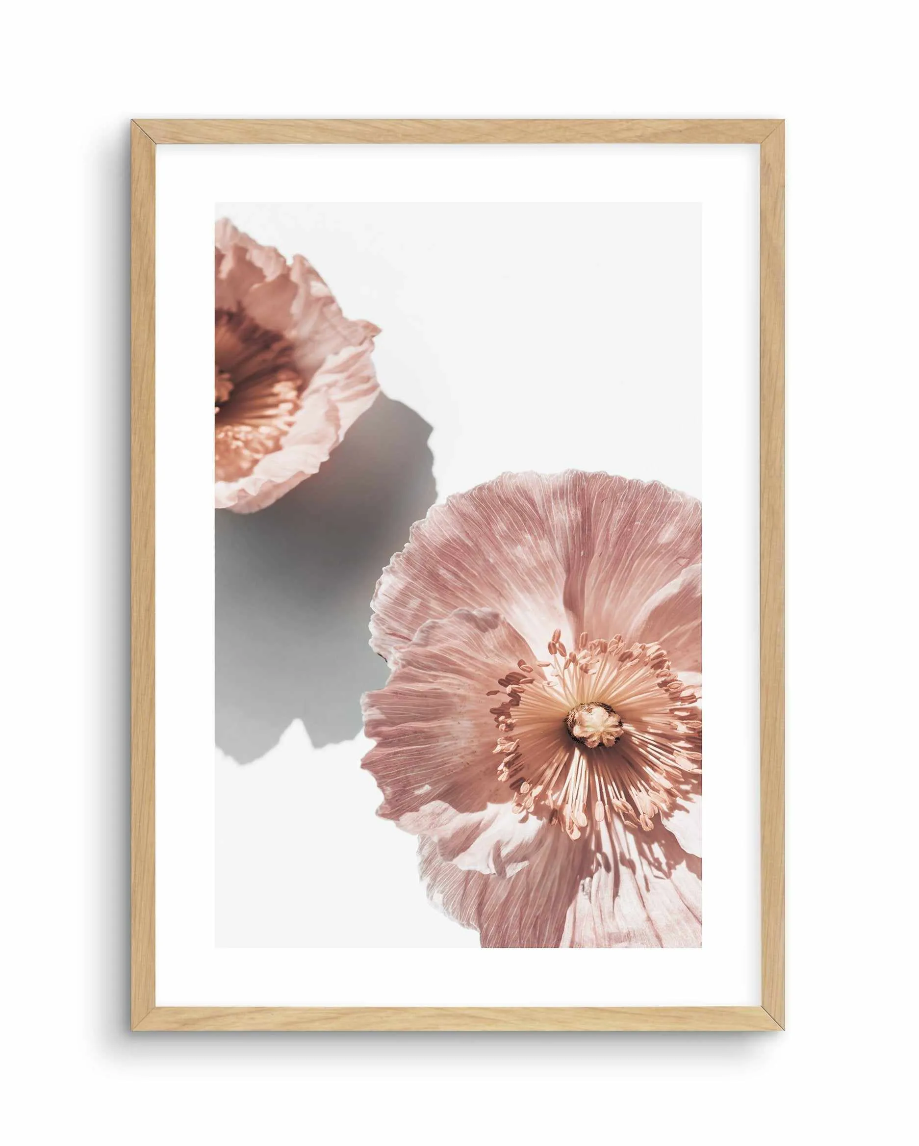 Abstract Poppies II Art Print