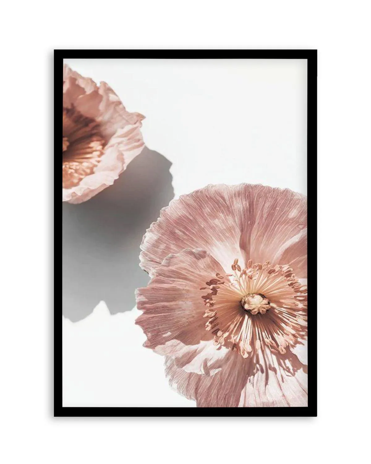 Abstract Poppies II Art Print