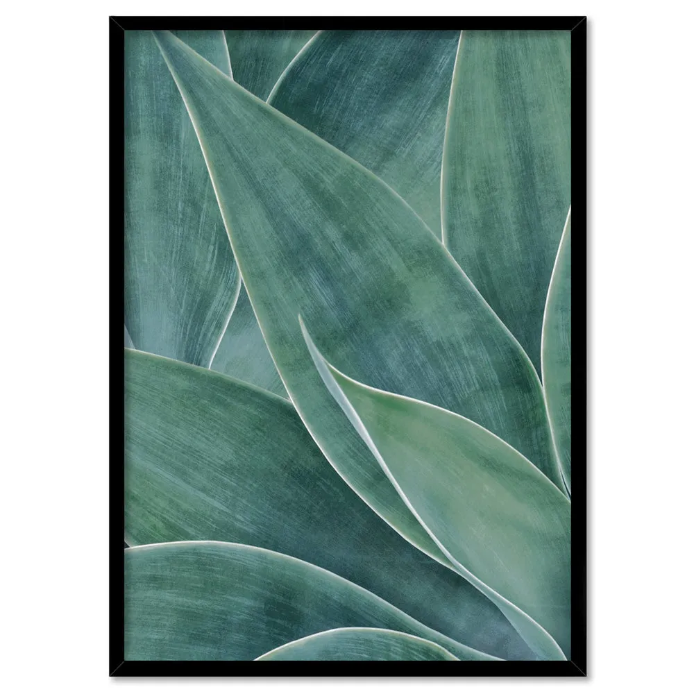 Agave Detail II - Art Print