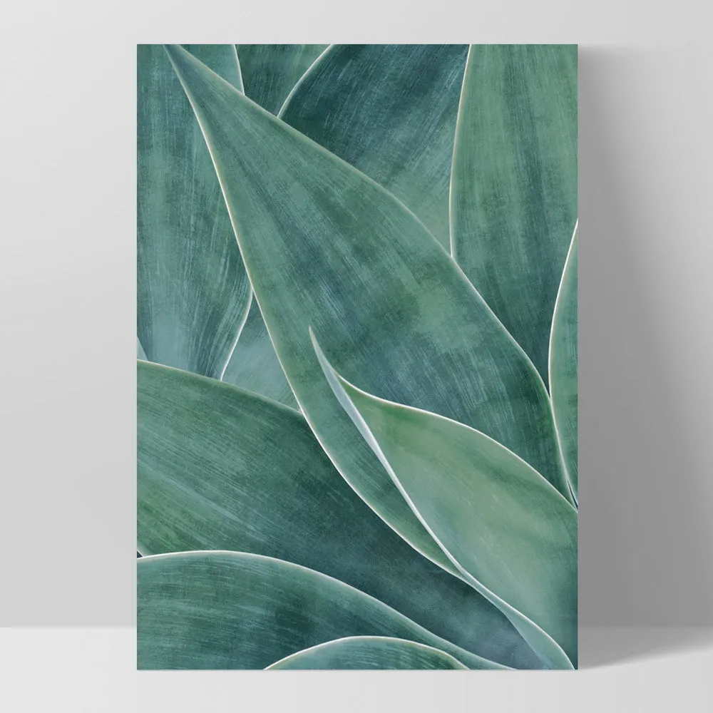 Agave Detail II - Art Print