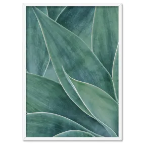 Agave Detail II - Art Print