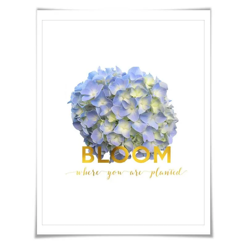 Bloom Where You Are Planted Gold Foil Art Print. 3 Sizes. Flower Poster. Floral Art. Hydrangea. Inspirational Quote.