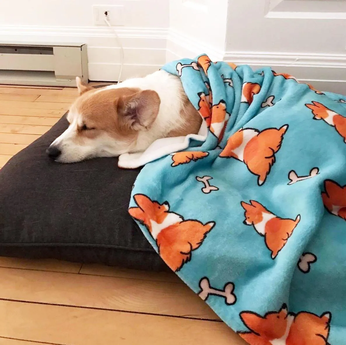 Blue Corgi Butts & Bones Fleece Blanket | 3 Sizes