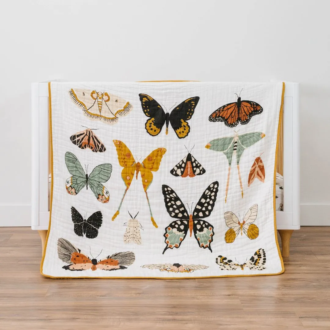 Butterfly Collector Quilt