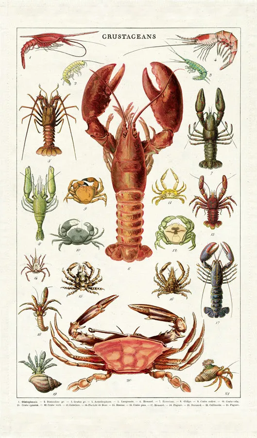 Crustaceans Tea Towel