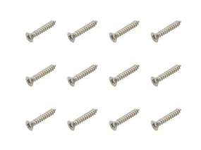 Curtain Track Screws (Pack of 12)