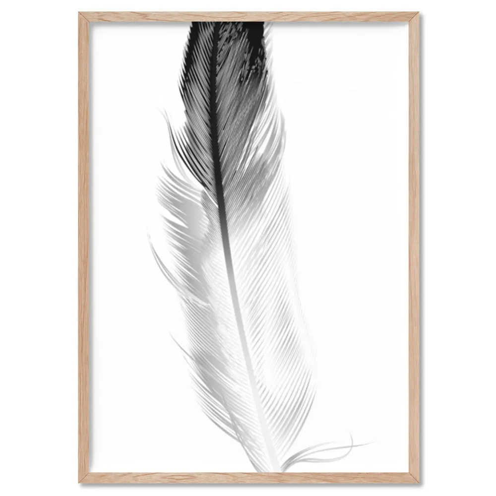 Feather Black & White I - Art Print