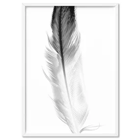 Feather Black & White I - Art Print