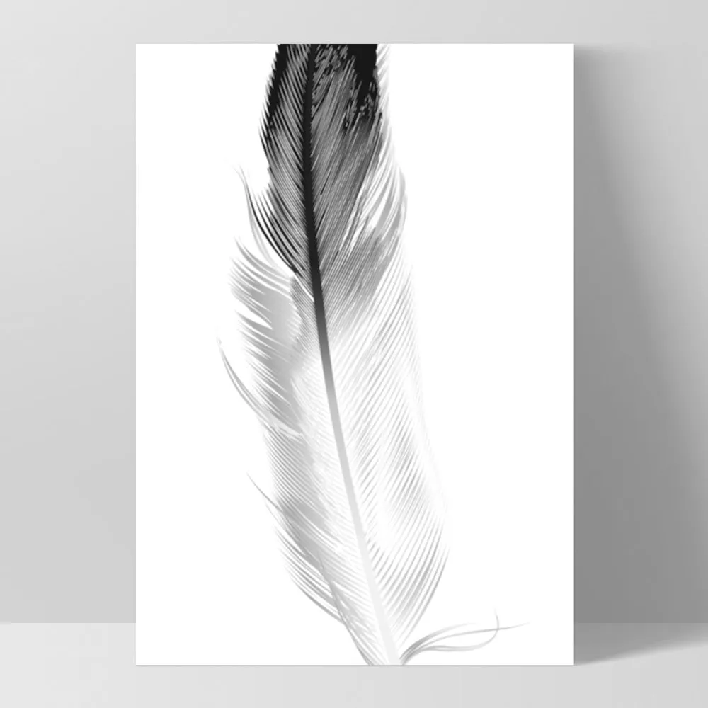 Feather Black & White I - Art Print