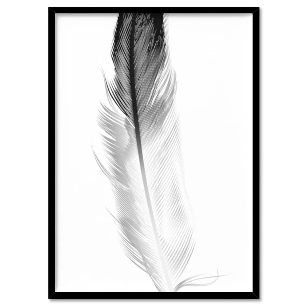 Feather Black & White I - Art Print