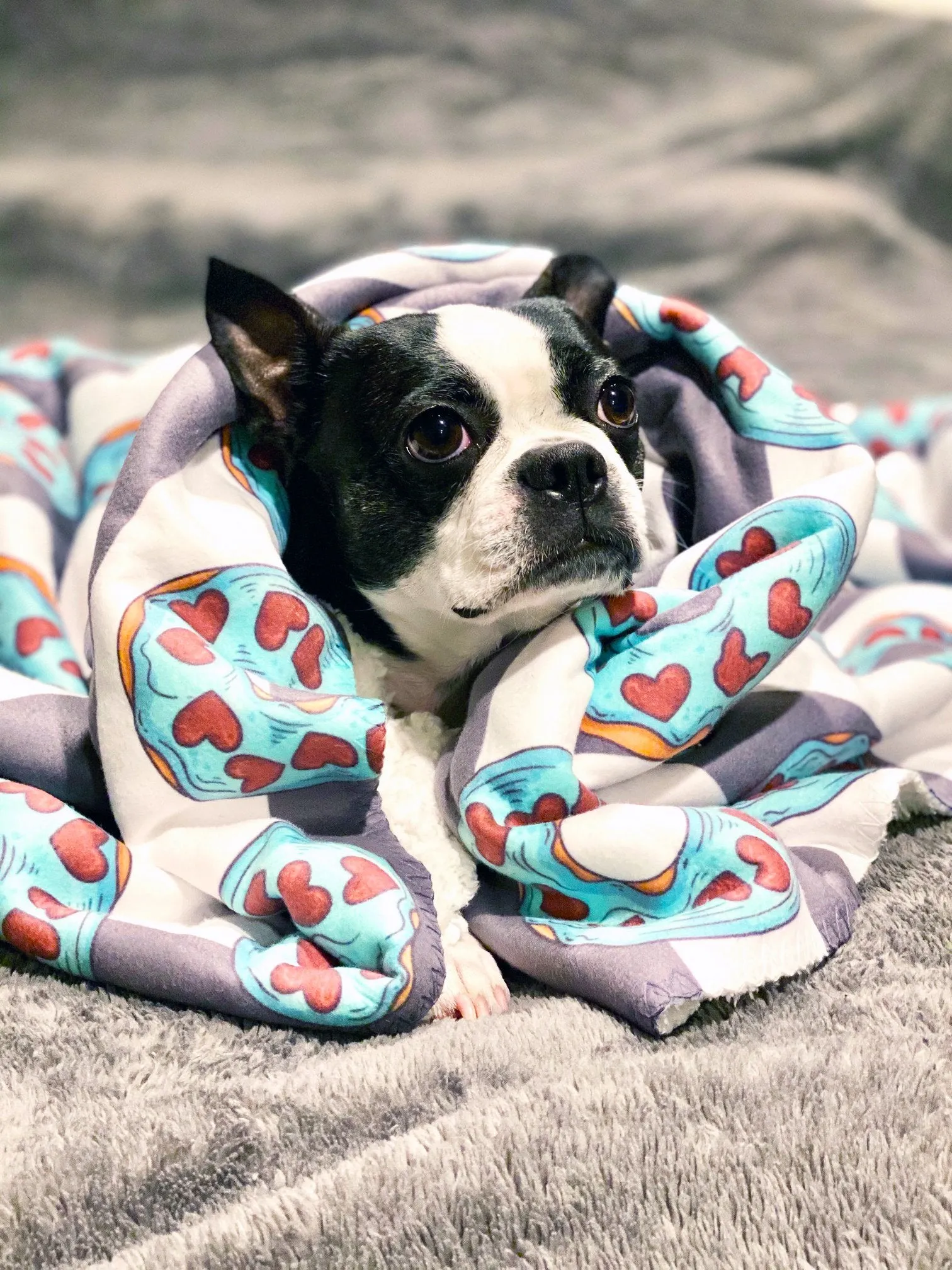 Frenchie Blanket | Frenchiestore | Frenchie Donuts