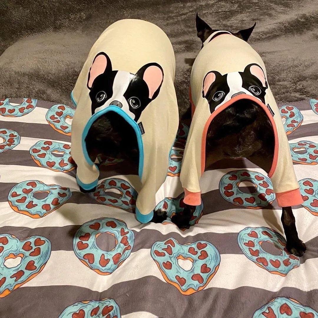 Frenchie Blanket | Frenchiestore | Frenchie Donuts