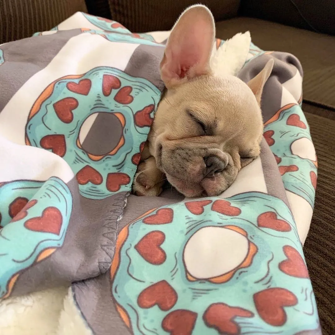 Frenchie Blanket | Frenchiestore | Frenchie Donuts