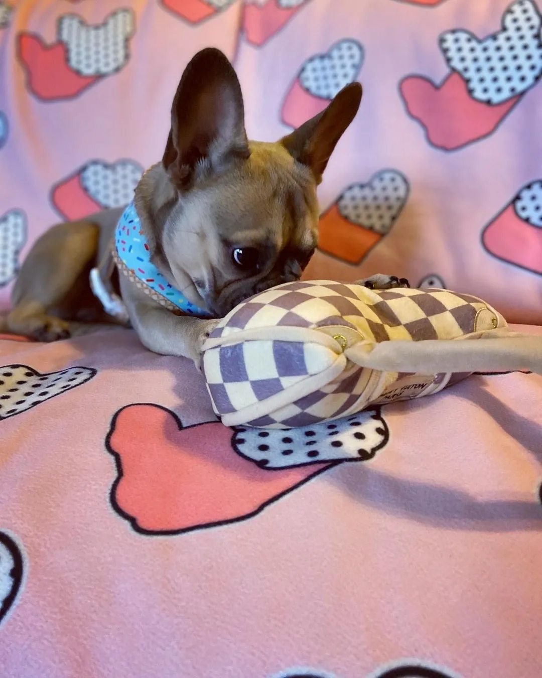 Frenchie Blanket | Frenchiestore | I Heart Frenchie