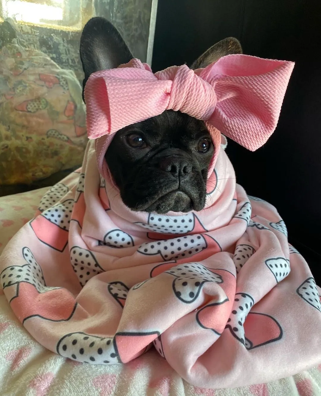 Frenchie Blanket | Frenchiestore | I Heart Frenchie