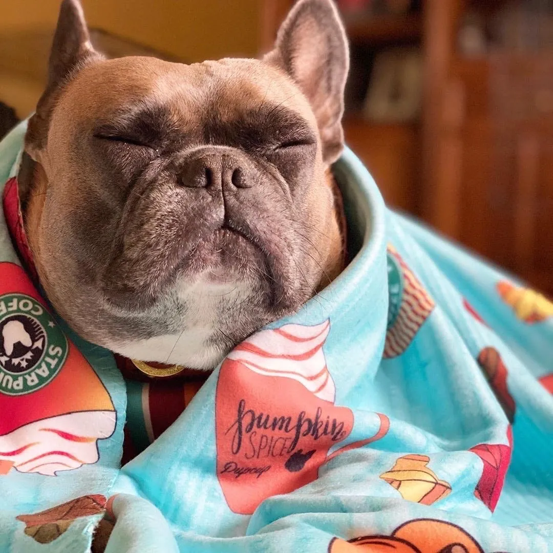 Frenchie Blanket | Frenchiestore | Pumpkin Spice Pupcup