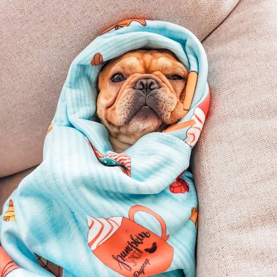 Frenchie Blanket | Frenchiestore | Pumpkin Spice Pupcup