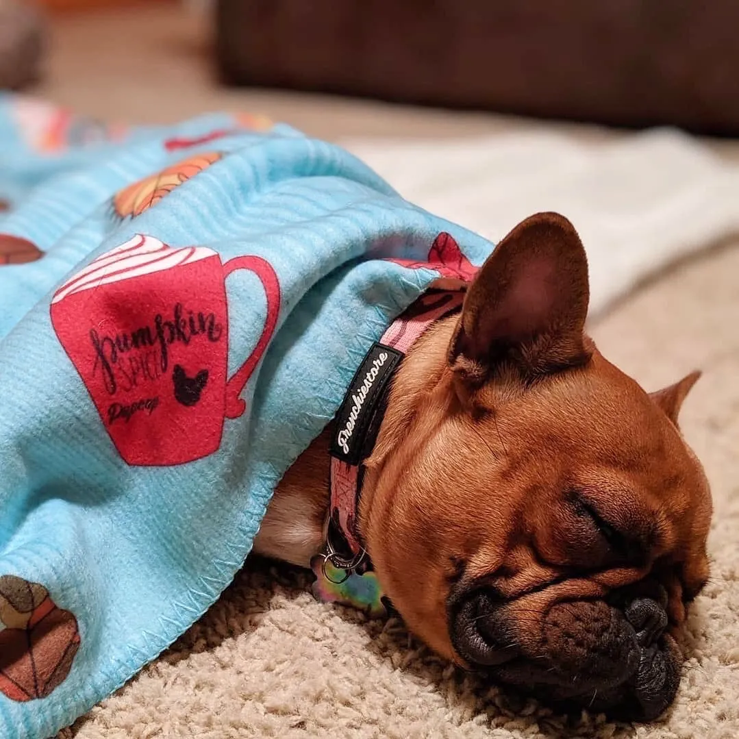 Frenchie Blanket | Frenchiestore | Pumpkin Spice Pupcup