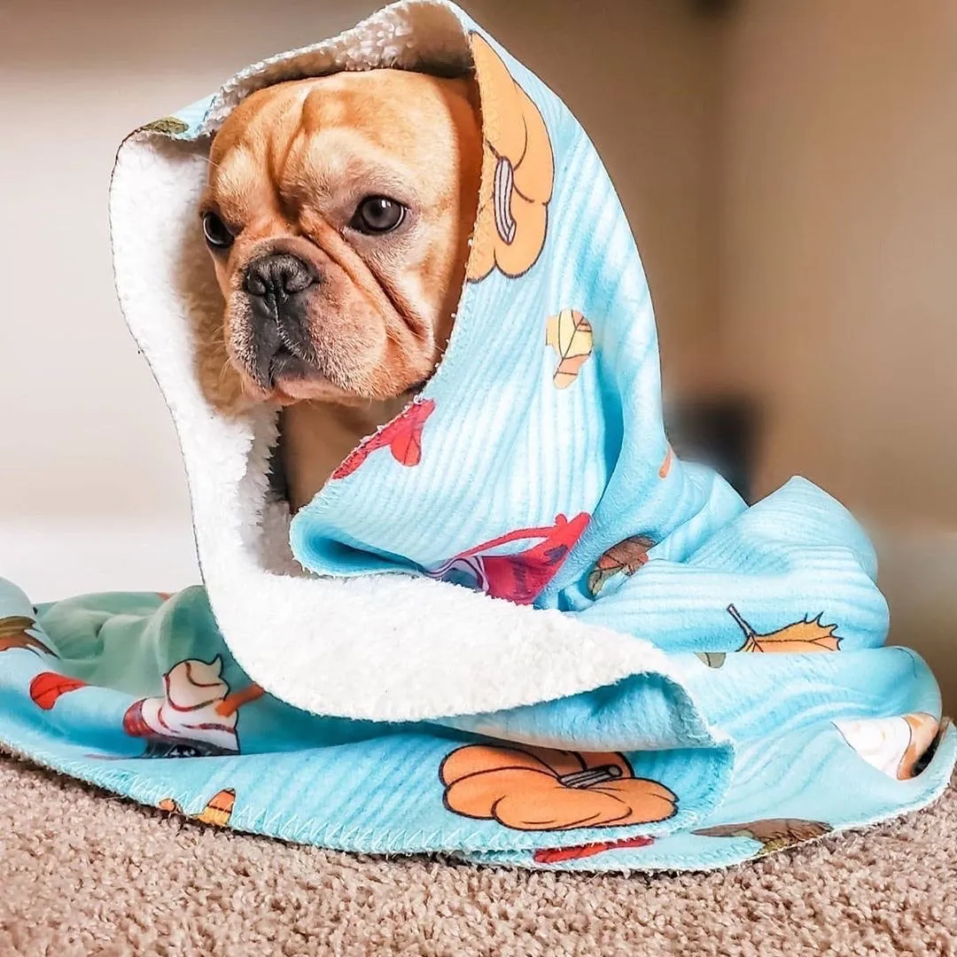 Frenchie Blanket | Frenchiestore | Pumpkin Spice Pupcup