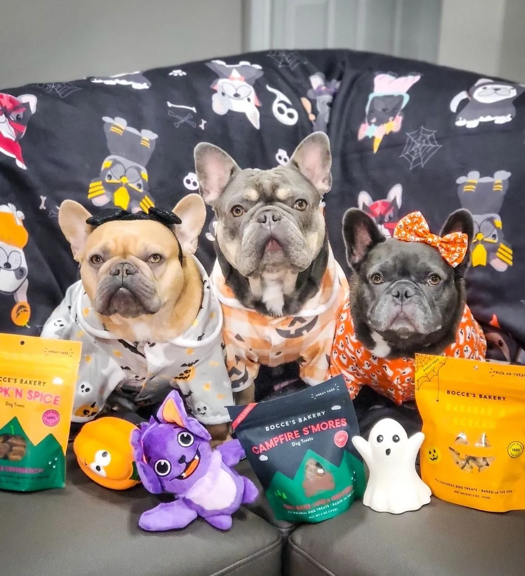 Frenchie Halloween Blanket | French Bulldogs in costumes