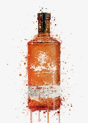 Gin Bottle Wall Art Print 'Blood Orange'