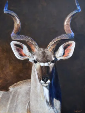 Greater Kudu - Wholesale