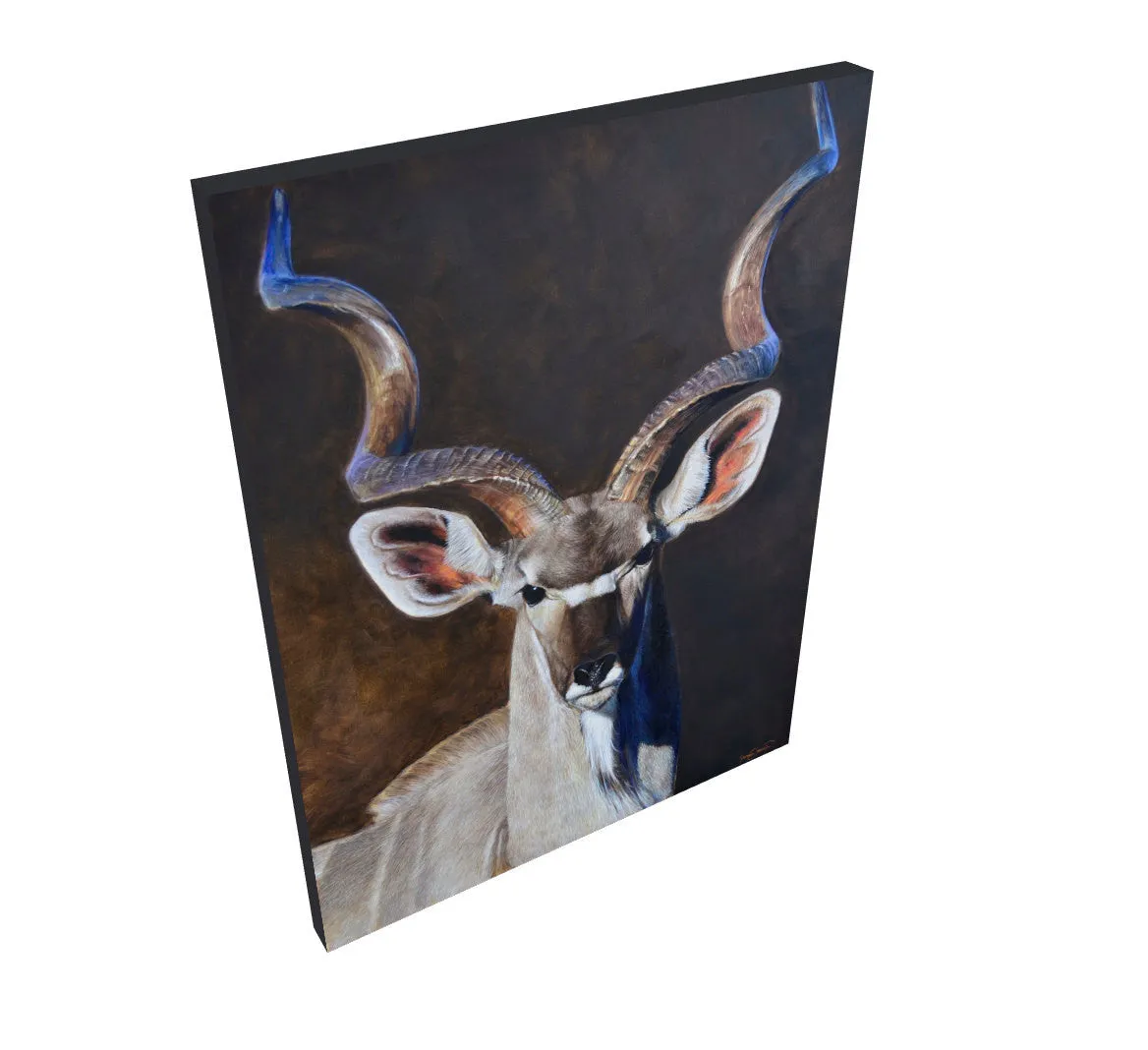 Greater Kudu - Wholesale