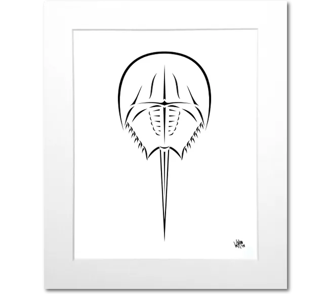 Horseshoe Crab Art Print