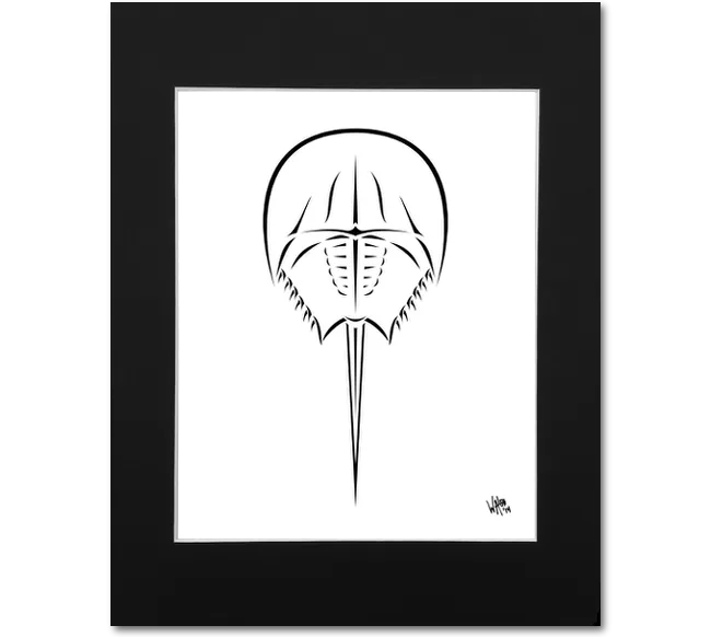 Horseshoe Crab Art Print