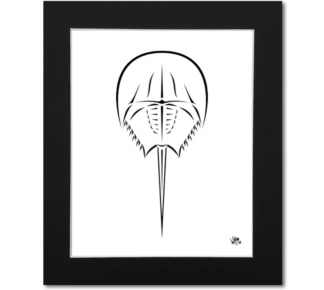 Horseshoe Crab Art Print