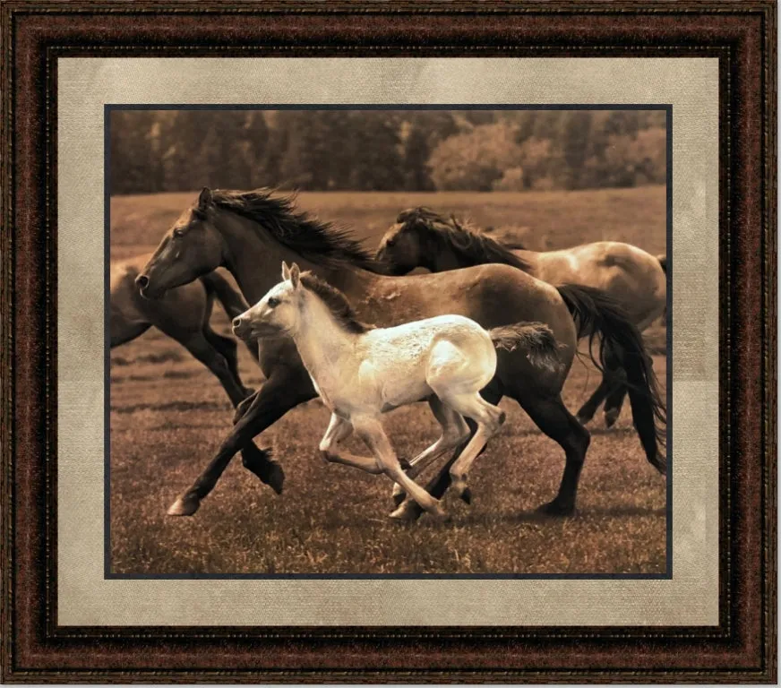 Little Rose Running | Framed Western Horse Art in Double Mat | 21L X 25W" Inches