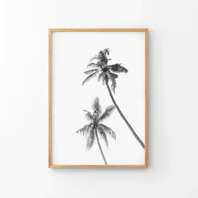 Minimalist Black White Palms Poster. Hawaii Theme