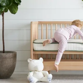 Organic Crib Mattress