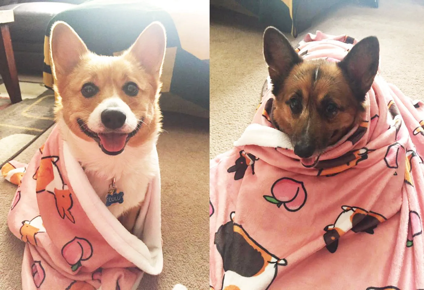 Pink Corgi Sploot Fleece Blanket | 3 Sizes