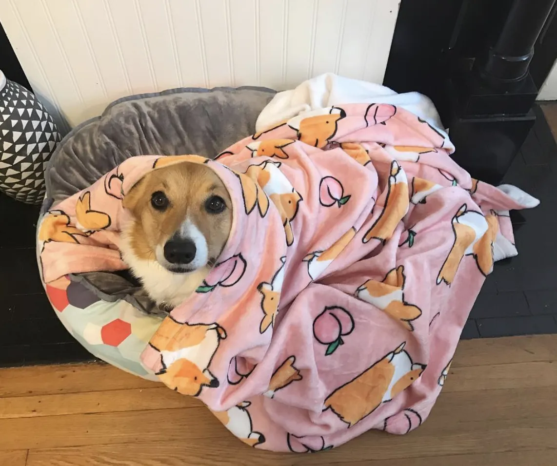 Pink Corgi Sploot Fleece Blanket | 3 Sizes