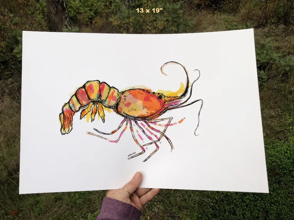 Shrimp Art Print