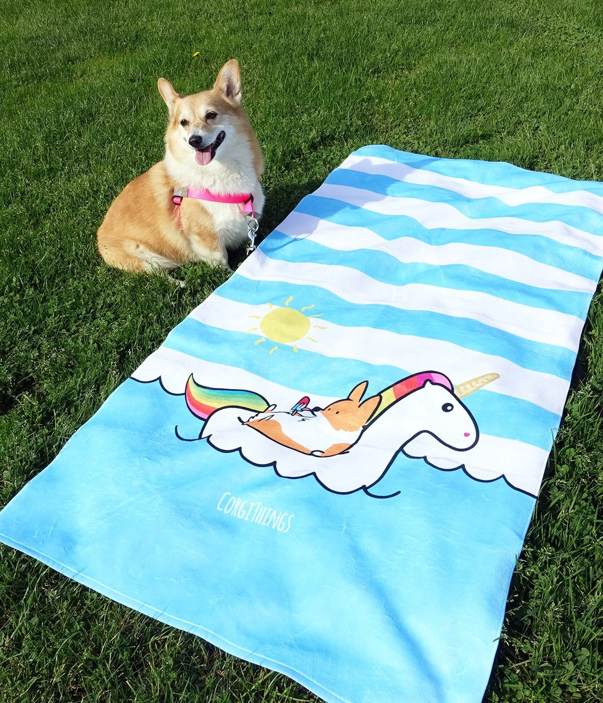 Summertime Loafin' Corgi Beach Towel