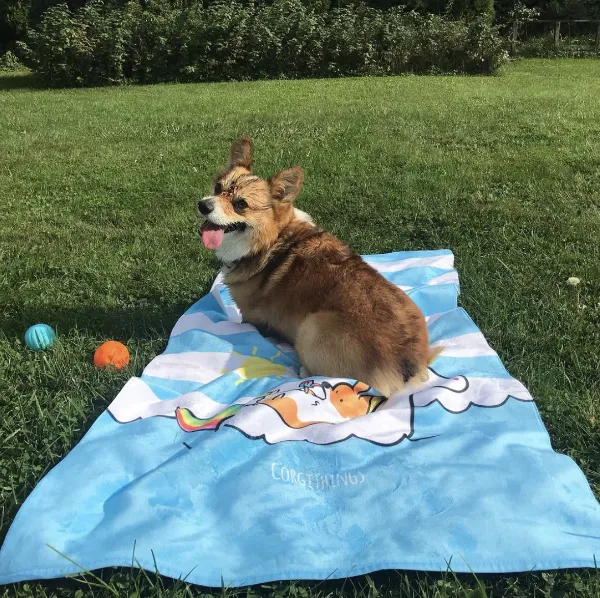 Summertime Loafin' Corgi Beach Towel