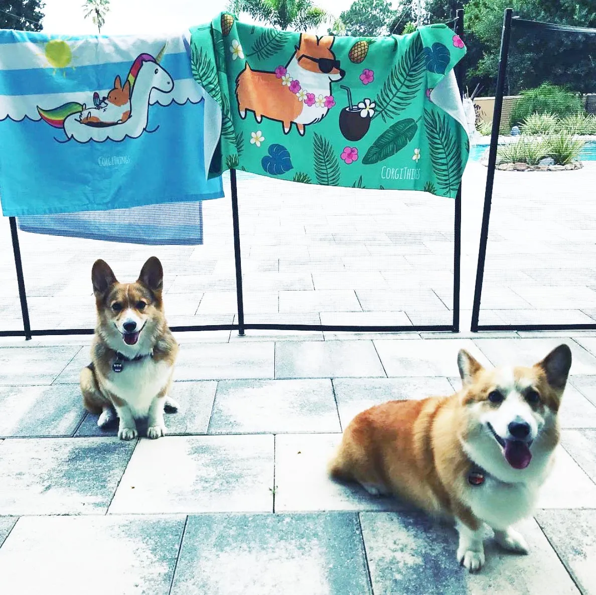 Summertime Loafin' Corgi Beach Towel